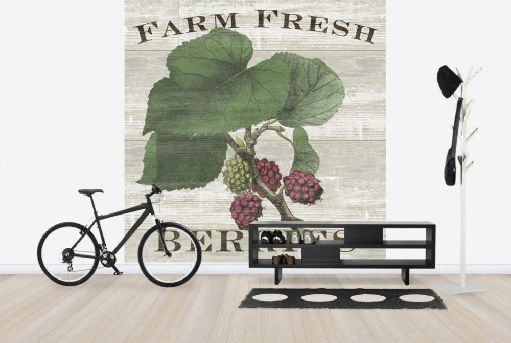 輸入壁紙 カスタム壁紙 PHOTOWALL / Farm Fresh Raspberries (e25641)