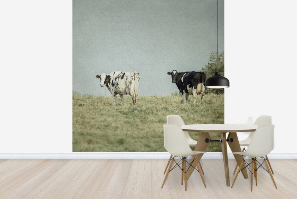 輸入壁紙 カスタム壁紙 PHOTOWALL / Grazing Cows (e25645)