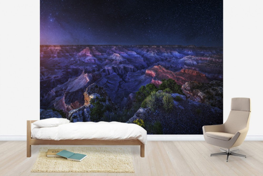 輸入壁紙 カスタム壁紙 PHOTOWALL / Grand Canyon Night (e29641)