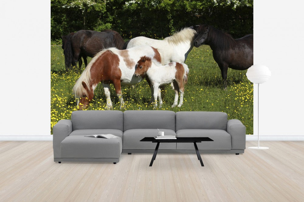 輸入壁紙 カスタム壁紙 PHOTOWALL / Shetland Ponies (e29736)