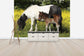 輸入壁紙 カスタム壁紙 PHOTOWALL / Shetland Ponies Foal and Mother (e29738)