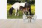 輸入壁紙 カスタム壁紙 PHOTOWALL / Shetland Ponies Foal and Mother (e29738)