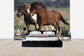 輸入壁紙 カスタム壁紙 PHOTOWALL / Shetland Ponies in Field (e29741)