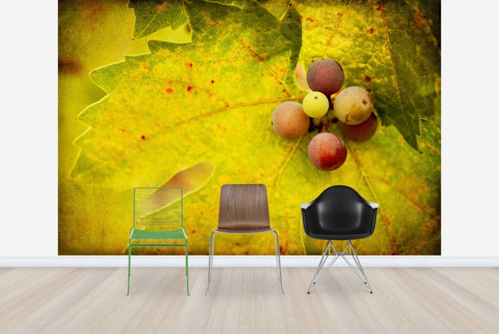 輸入壁紙 カスタム壁紙 PHOTOWALL / Green Leaf Grapes (e29784)