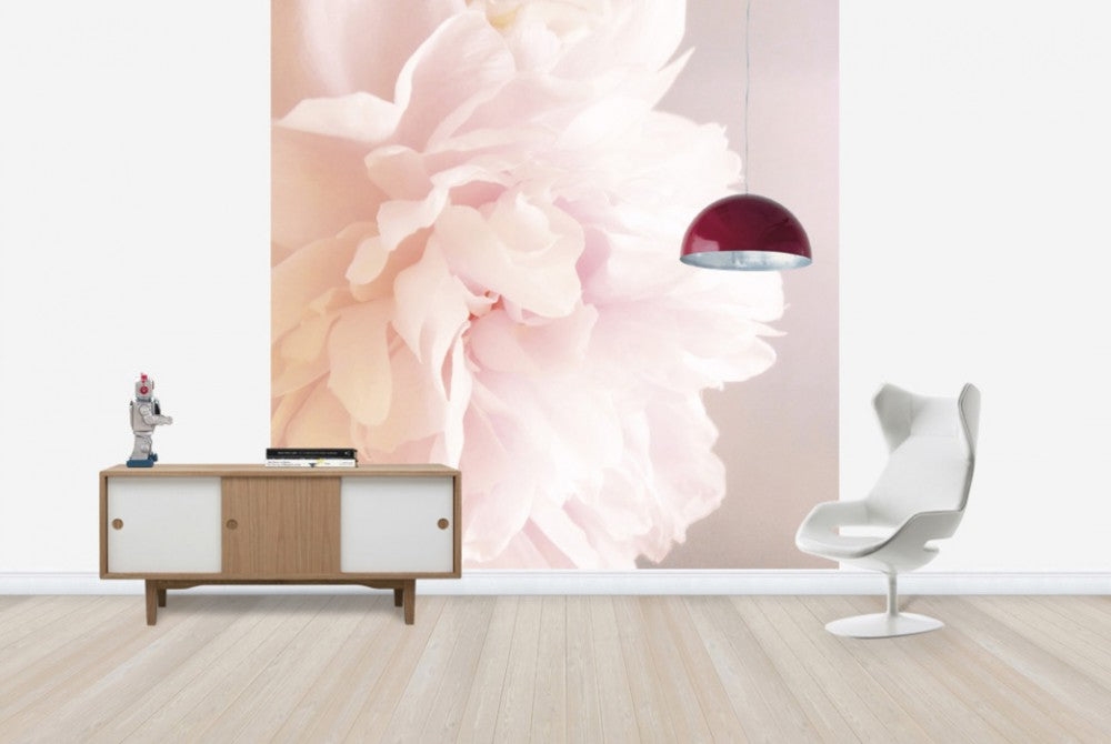 輸入壁紙 カスタム壁紙 PHOTOWALL / Light Pink Peony (e29859)