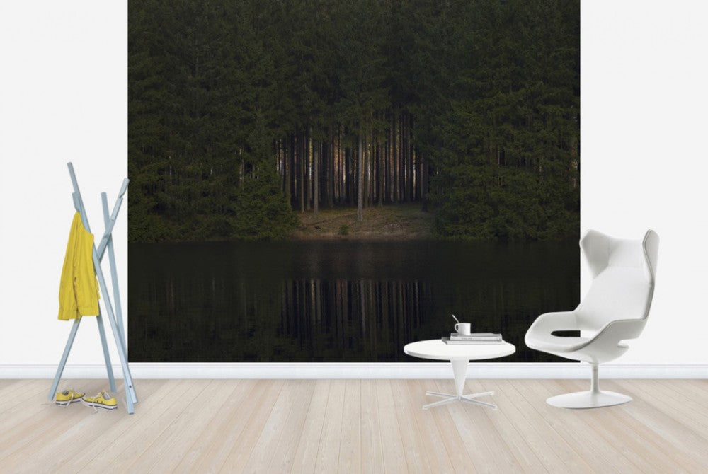 輸入壁紙 カスタム壁紙 PHOTOWALL / Glade Reflecting in Still Water (e29945)