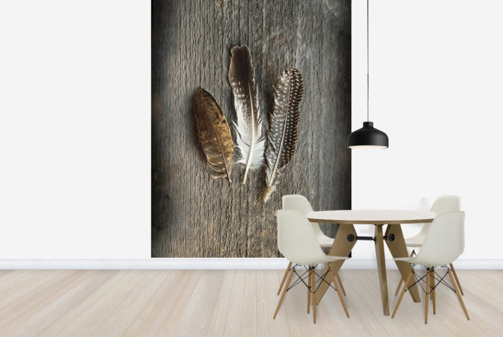 輸入壁紙 カスタム壁紙 PHOTOWALL / Feathers on Wood II (e25891)