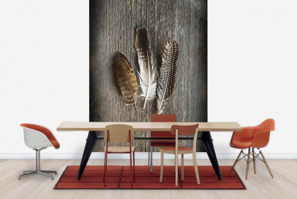 輸入壁紙 カスタム壁紙 PHOTOWALL / Feathers on Wood II (e25891)