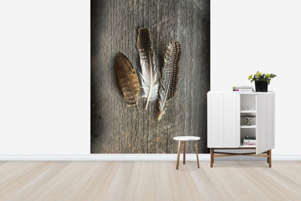 輸入壁紙 カスタム壁紙 PHOTOWALL / Feathers on Wood II (e25891)