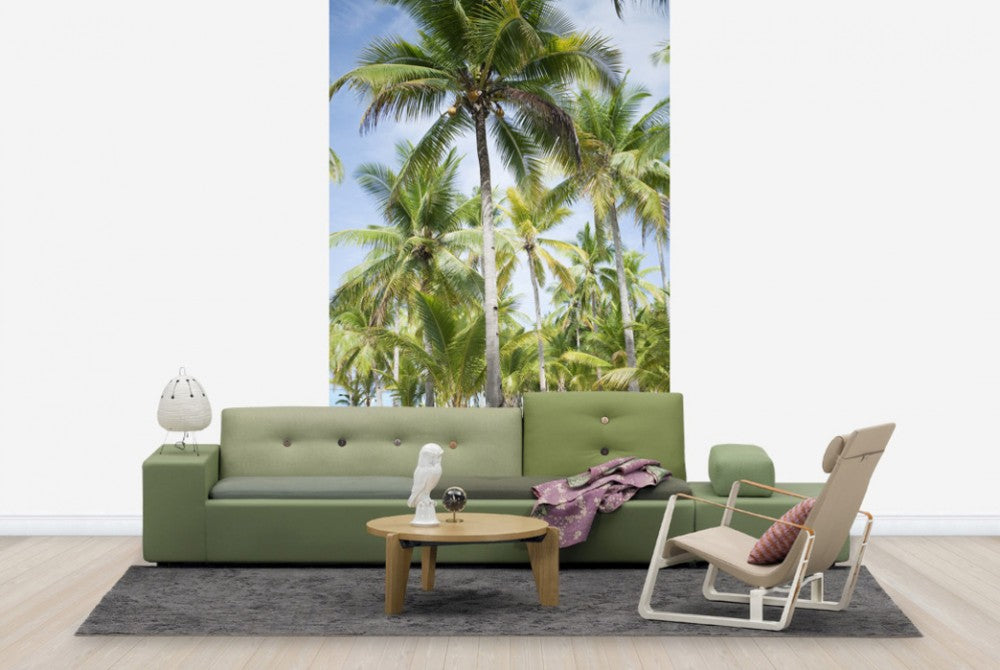 輸入壁紙 カスタム壁紙 PHOTOWALL / Palm Trees in Bohol, Phillipines (e40483)