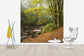 輸入壁紙 カスタム壁紙 PHOTOWALL / Stream in Swedish Beech Forest II (e40491)