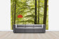 輸入壁紙 カスタム壁紙 PHOTOWALL / Beech Forest in Torup, Sweden II (e40493)