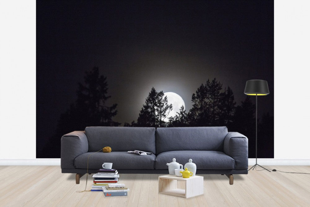 輸入壁紙 カスタム壁紙 PHOTOWALL / Moonlight over Medelpad, Sweden (e40465)