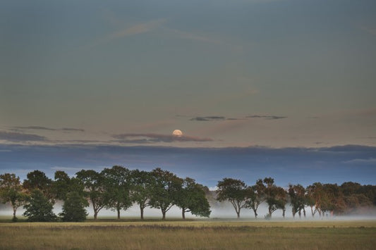 輸入壁紙 カスタム壁紙 PHOTOWALL / Moon over Swedish Landscape (e40472)