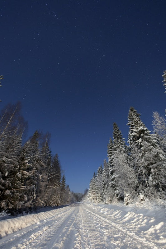 輸入壁紙 カスタム壁紙 PHOTOWALL / Winter Landscape in Mora, Sweden (e40511)