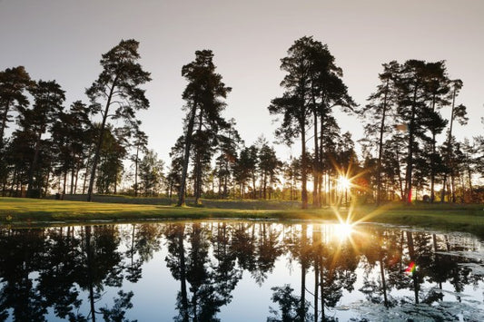 輸入壁紙 カスタム壁紙 PHOTOWALL / Sunrise over Drottningholm, Sweden (e40559)