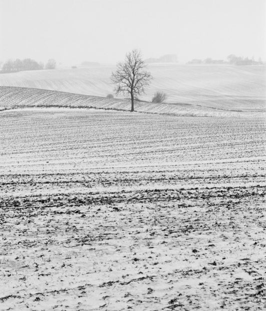 輸入壁紙 カスタム壁紙 PHOTOWALL / Fields in Anderslov, Sweden (e40514)