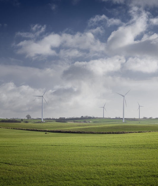 輸入壁紙 カスタム壁紙 PHOTOWALL / Windmill in Green Fields of Skane, Sweden (e40565)