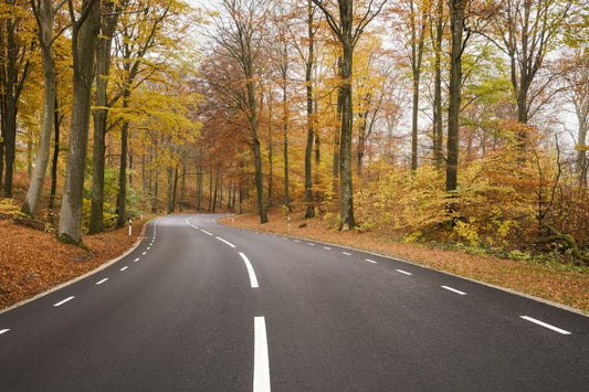 輸入壁紙 カスタム壁紙 PHOTOWALL / Autumn Road in Rostanga, Sweden (e40519)