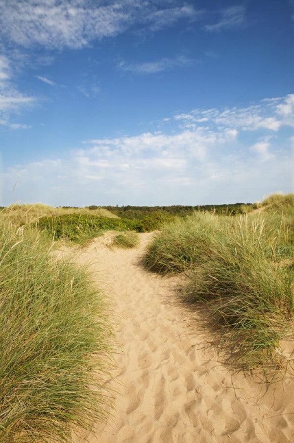 輸入壁紙 カスタム壁紙 PHOTOWALL / Beach in Tylosand, Sweden (e40524)