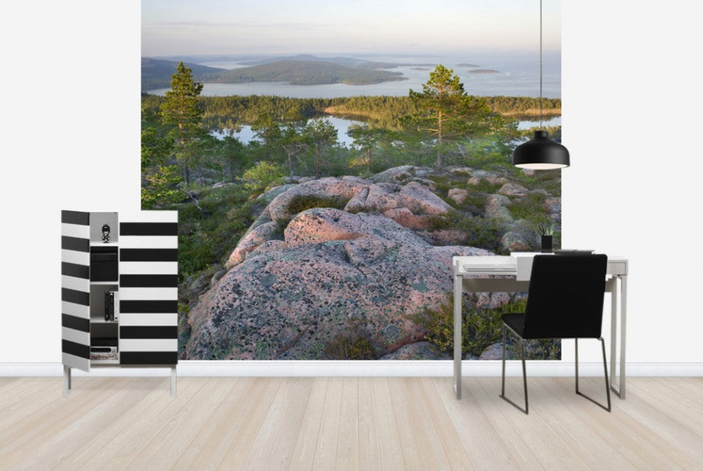 輸入壁紙 カスタム壁紙 PHOTOWALL / Skuleskogen National Park, Sweden (e40574)