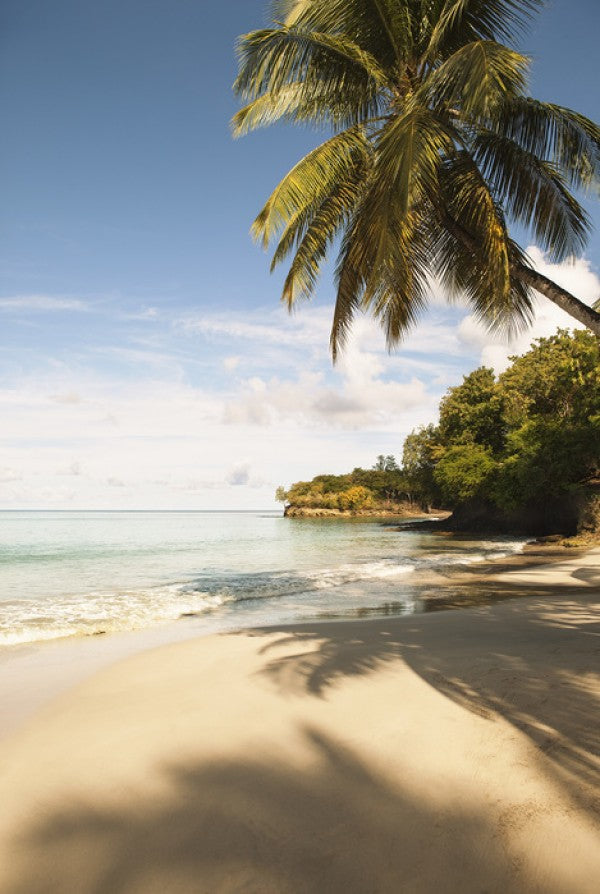 輸入壁紙 カスタム壁紙 PHOTOWALL / Beach in Saint Lucia, Carribean (e40645)