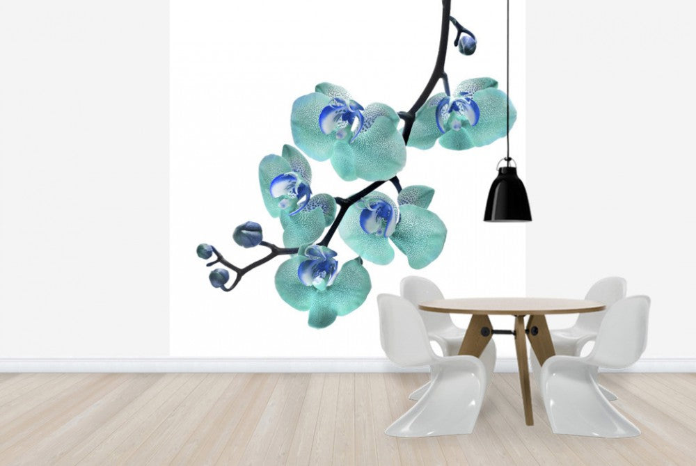 輸入壁紙 カスタム壁紙 PHOTOWALL / Blue Phalaenopsis Orchid (e40590)