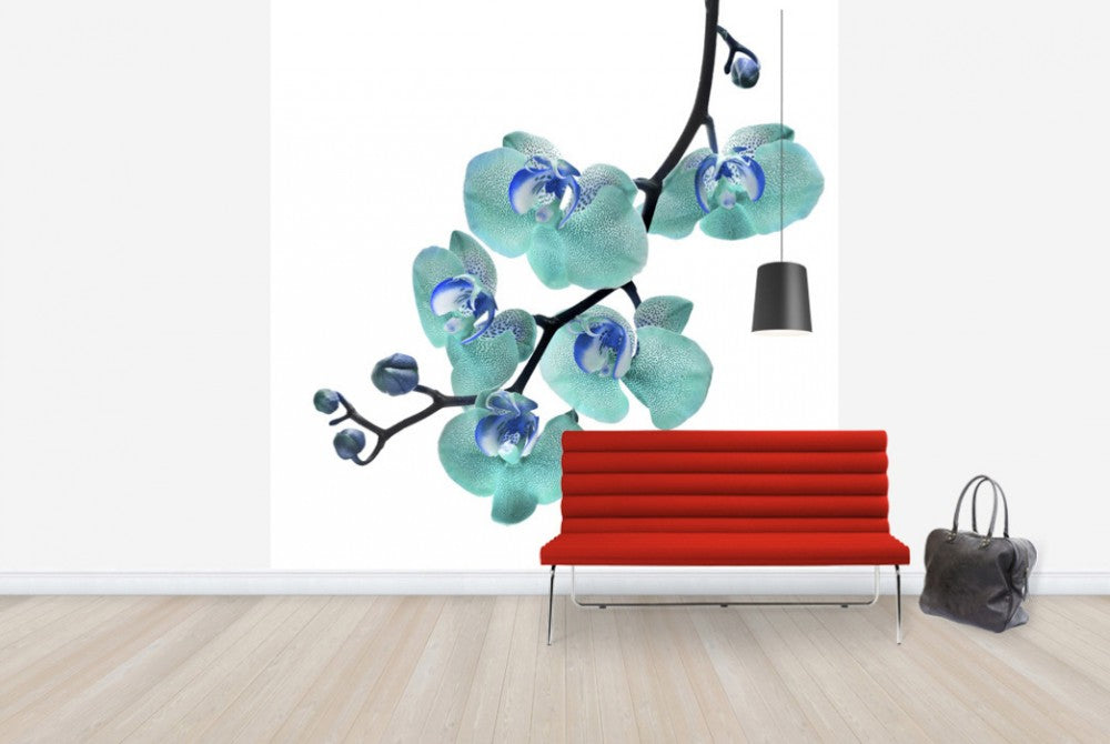 輸入壁紙 カスタム壁紙 PHOTOWALL / Blue Phalaenopsis Orchid (e40590)