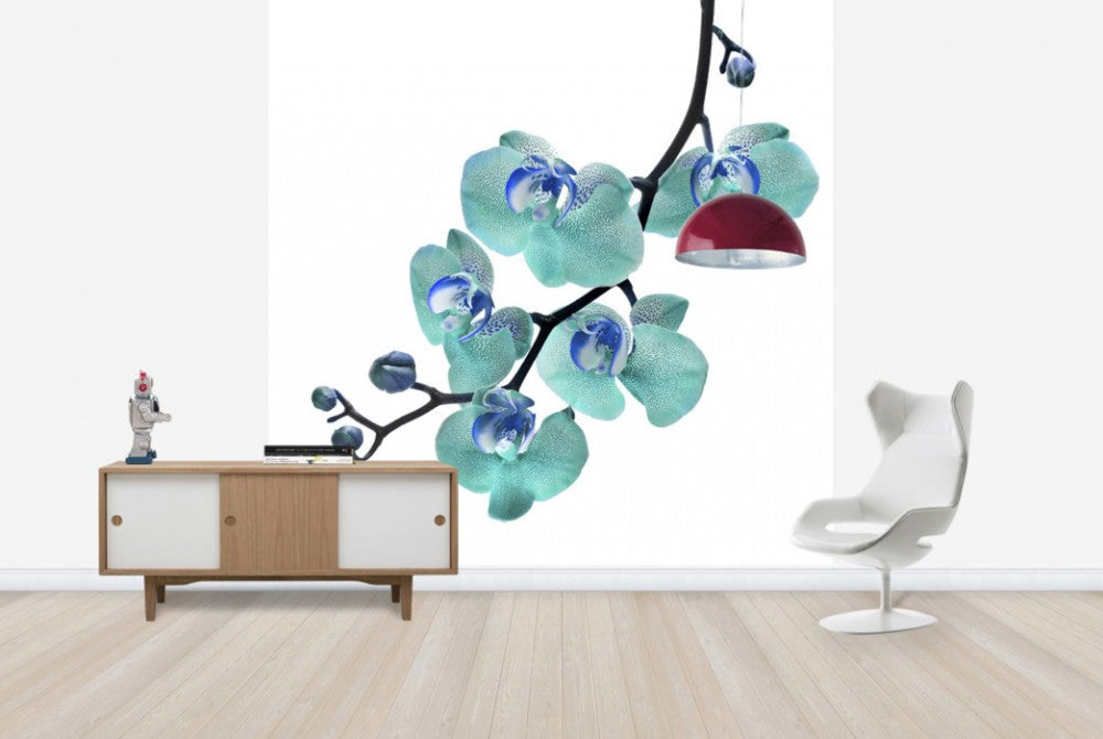 輸入壁紙 カスタム壁紙 PHOTOWALL / Blue Phalaenopsis Orchid (e40590)