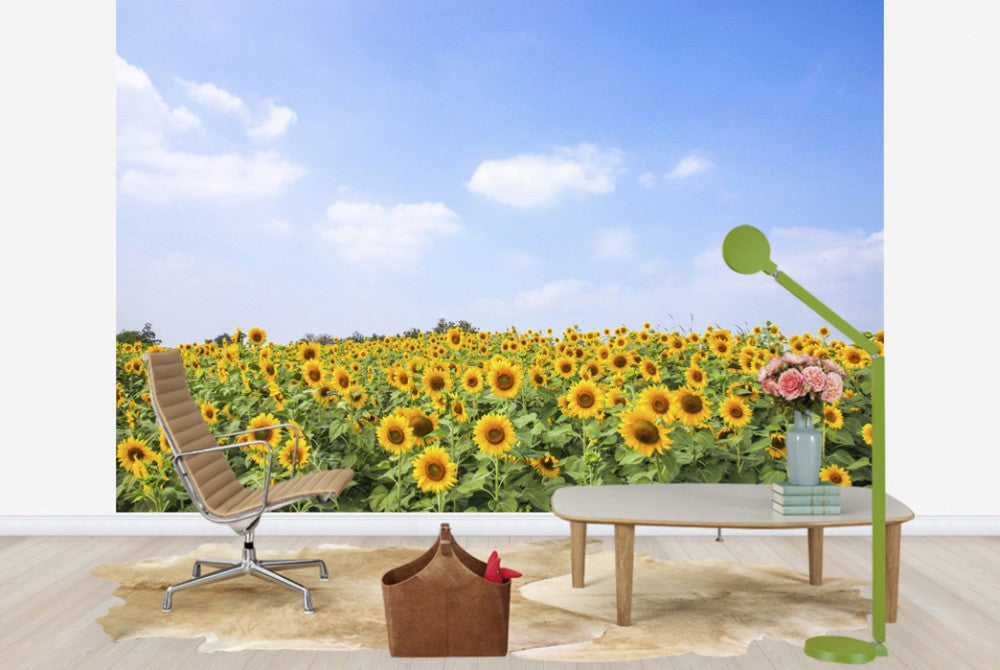 輸入壁紙 カスタム壁紙 PHOTOWALL / Soft Sunflowers (e40607)