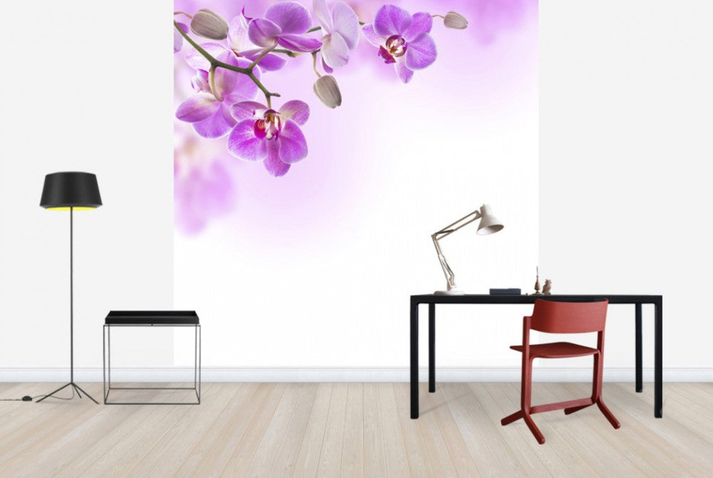 輸入壁紙 カスタム壁紙 PHOTOWALL / Tropical Fuchsia Orchids (e40612)