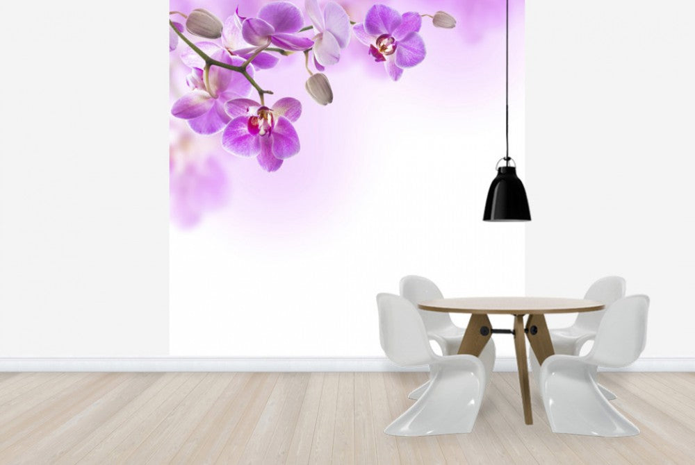 輸入壁紙 カスタム壁紙 PHOTOWALL / Tropical Fuchsia Orchids (e40612)