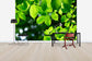 輸入壁紙 カスタム壁紙 PHOTOWALL / Greenery Leaves Background (e40696)