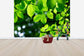 輸入壁紙 カスタム壁紙 PHOTOWALL / Greenery Leaves Background (e40696)