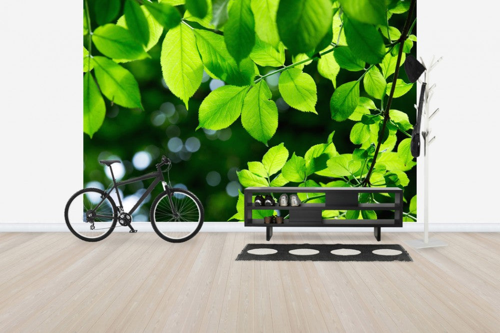 輸入壁紙 カスタム壁紙 PHOTOWALL / Greenery Leaves Background (e40696)