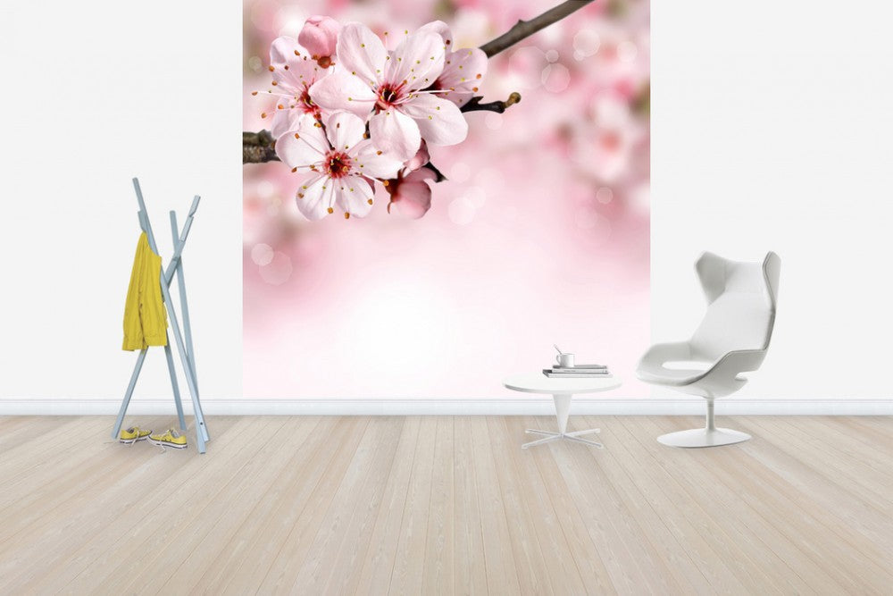 輸入壁紙 カスタム壁紙 PHOTOWALL / Spring Border Cherry Blossom (e40700)