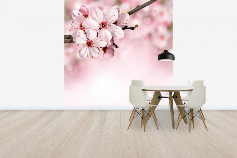 輸入壁紙 カスタム壁紙 PHOTOWALL / Spring Border Cherry Blossom (e40700)