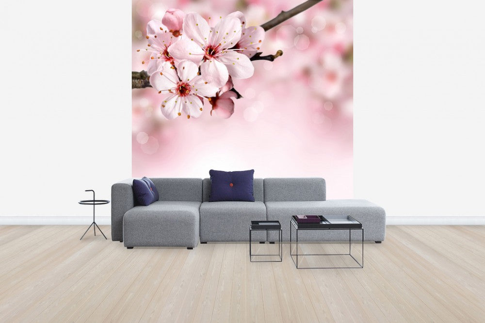 輸入壁紙 カスタム壁紙 PHOTOWALL / Spring Border Cherry Blossom (e40700)