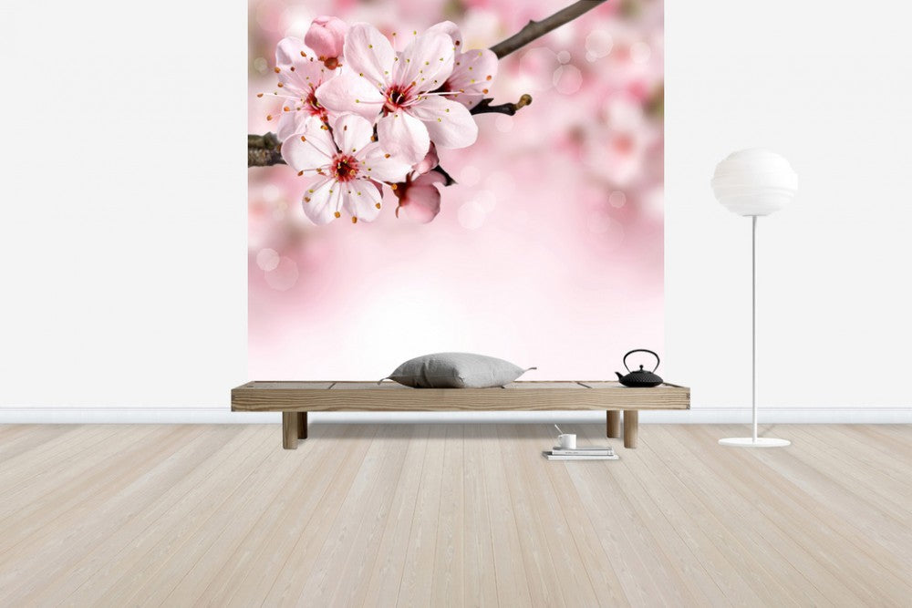 輸入壁紙 カスタム壁紙 PHOTOWALL / Spring Border Cherry Blossom (e40700)