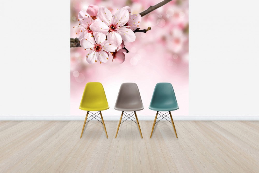 輸入壁紙 カスタム壁紙 PHOTOWALL / Spring Border Cherry Blossom (e40700)