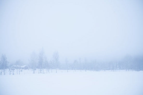 輸入壁紙 カスタム壁紙 PHOTOWALL / Filipshyttan covered in Fog, Sweden (e40737)