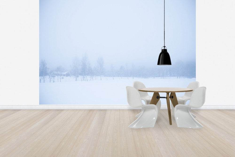 輸入壁紙 カスタム壁紙 PHOTOWALL / Filipshyttan covered in Fog, Sweden (e40737)