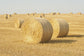 輸入壁紙 カスタム壁紙 PHOTOWALL / Hay Field in Skurup, Sweden (e40739)