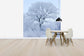 輸入壁紙 カスタム壁紙 PHOTOWALL / Winter Oak in Sweden (e40752)