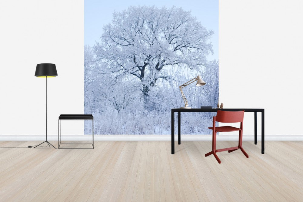 輸入壁紙 カスタム壁紙 PHOTOWALL / Winter Oak in Sweden (e40752)