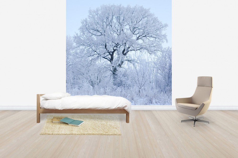 輸入壁紙 カスタム壁紙 PHOTOWALL / Winter Oak in Sweden (e40752)