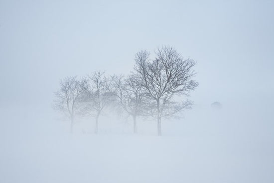 輸入壁紙 カスタム壁紙 PHOTOWALL / Stockholm Field hiding in Fog, Sweden (e40768)