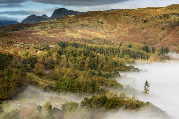 輸入壁紙 カスタム壁紙 PHOTOWALL / View from Loughrigg (e40857)