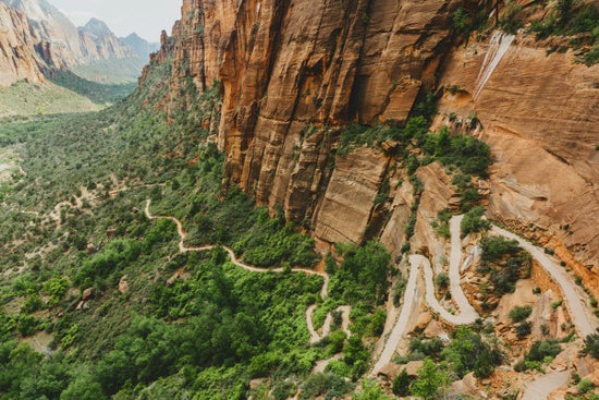 輸入壁紙 カスタム壁紙 PHOTOWALL / Pathway in Zion National Park, USA (e30838)