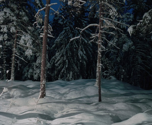 輸入壁紙 カスタム壁紙 PHOTOWALL / Winter Lighting in Nacka, Sweden (e30804)